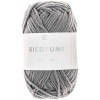 Fil Ricorumi réf.080 Ardoise