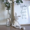Célestin le lapin : Patron Au Crochet PDF